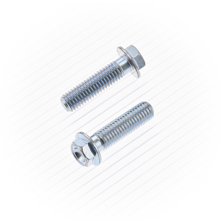 Tornillo Hexagonal M8-1.25X30 10mm (10 uds.)
