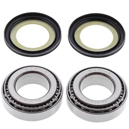 [AB22-1003] Kit Rodamientos Direccion KTM ADVENTURE 790-1290 17-21, TM EN/MX 125-300 98-01