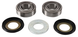 [AB22-1047] Steering Bearing Kit Beta Rev/Evo (00-21) Gas Gas TXT/Pro/Racing/Raga/Factory/GP (98-21) Scorpa SC (15-21) Sherco ST (01-21) Vertigo (16-21)