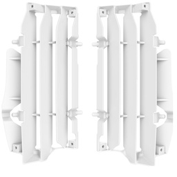 Rejilla Radiador Beta RR 2T/4T(20-21)