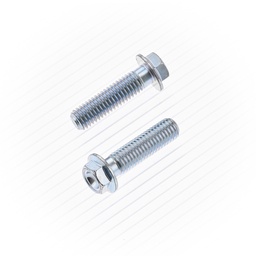 [BT024-20830] Tornillo Hexagonal M8-1.25X30 10mm (10 uds.)