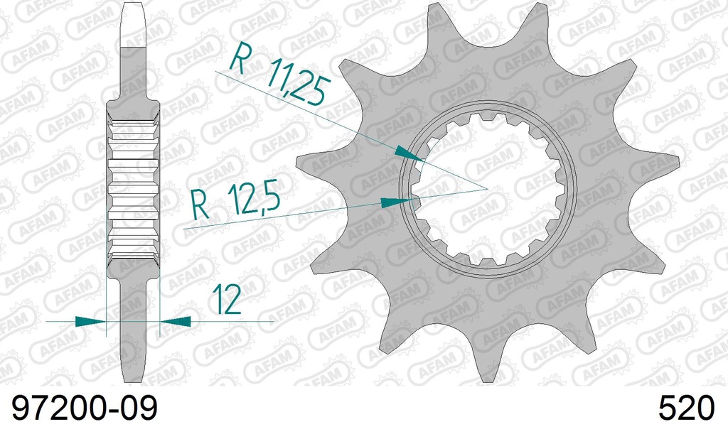 Piñon Gas Gas Pro (02-21) Vertigo(16-21) TRS One (16-21) (Not RR 18-21)