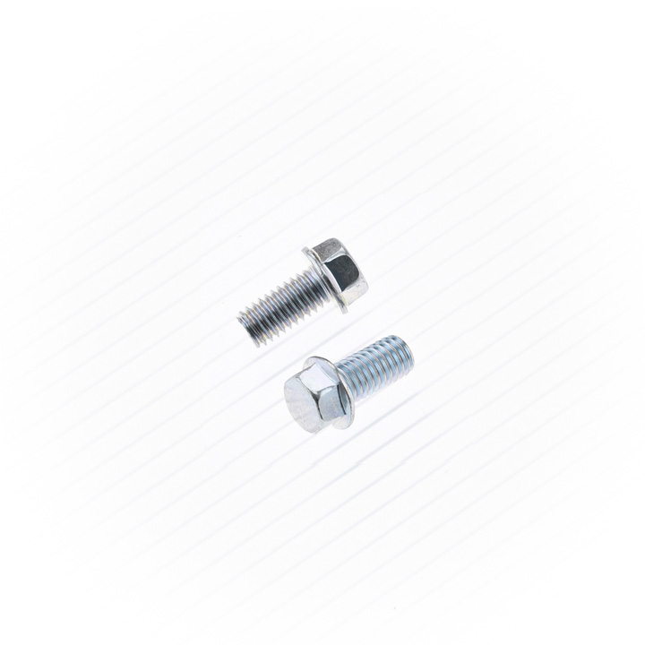 Hex Screw (10 pcs.)