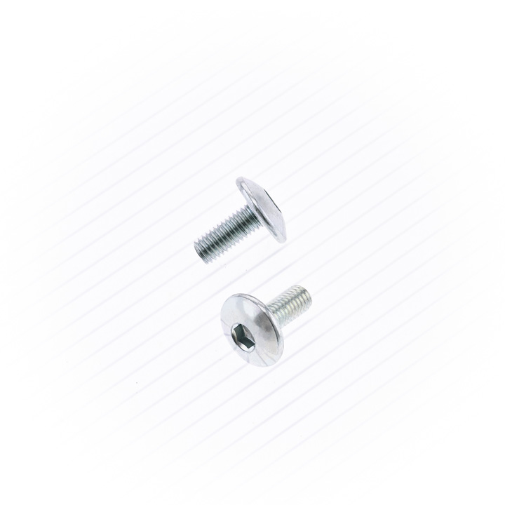 ULS screw (large head (10 pcs.)