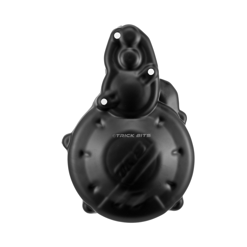 Ignition Cover wih Electric Start TRS ONE/GOLD/RR 250-300 16-25