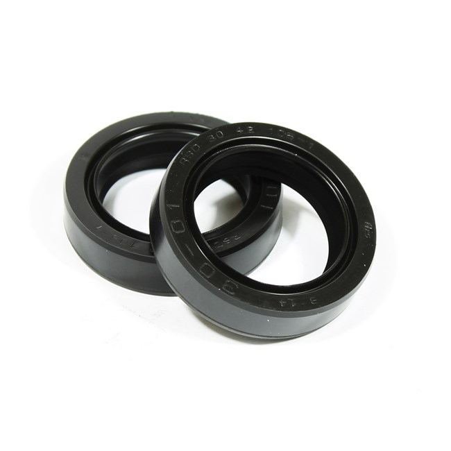 Fork Seal Kit 38x48x10 Gas Gas TXT/Pro (01-04)