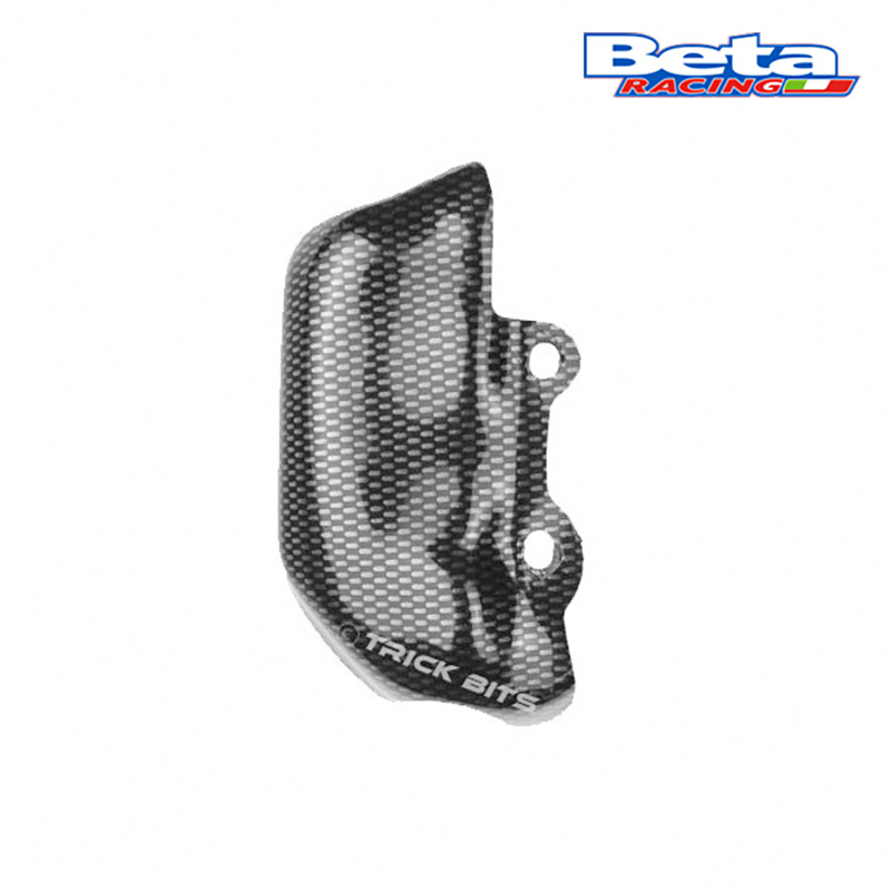 Protector Bomba Freno Trasero   BETA EVO 125-300 09-25
