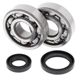 [AB24-1016] Crankshaft Bearing Kit RM 125 (89-08)