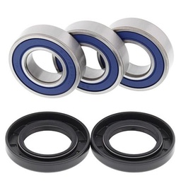 [AB25-1021] zTTR250 rear wheel bearing kit (99-06)