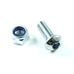 [AP-RSBTRIAL] Trial Rear Crown Screws (6 units)