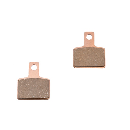 Rear brake pads Beta Evo 2T/4T (09-22)