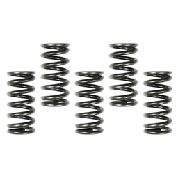 [AP-CK CRF250 10-12 SPR] Muelles de Embrague HONDA CRF250R(10-18) 5 unidades